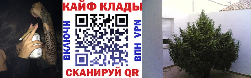 Купить закладку Бошки Шишки  АМФ  МЕФ  A PVP  Кирово-Чепецк