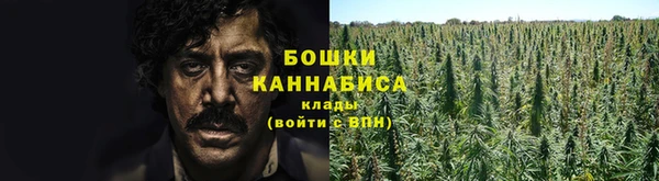 крисы Слюдянка