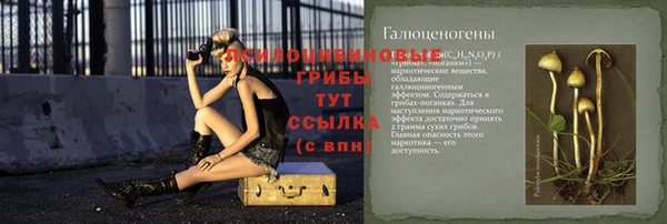 шишки Снежинск