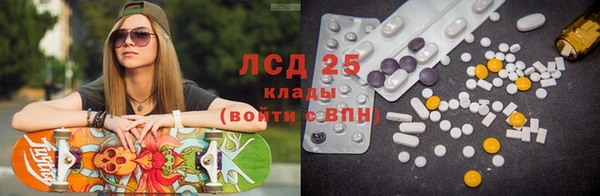 молекула духа Снежногорск