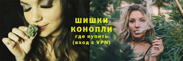 шишки Снежинск