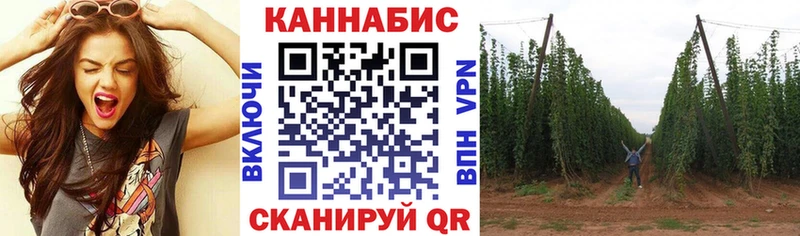 Шишки марихуана марихуана  Купить  Кирово-Чепецк 